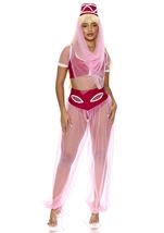 Dream Harem Genie Women Costume