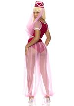 Adult Dream Harem Genie Women Costume