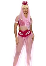 Adult Dream Harem Genie Women Costume