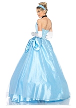 Adult Deluxe Disney Princess Cinderella Woman Costume