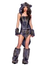 Big Bad Wolf Women Costume