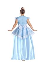 Adult Plus Curvy Midnight Princess Women Costume