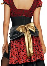 Adult Saloon Girl Women Deluxe Costume